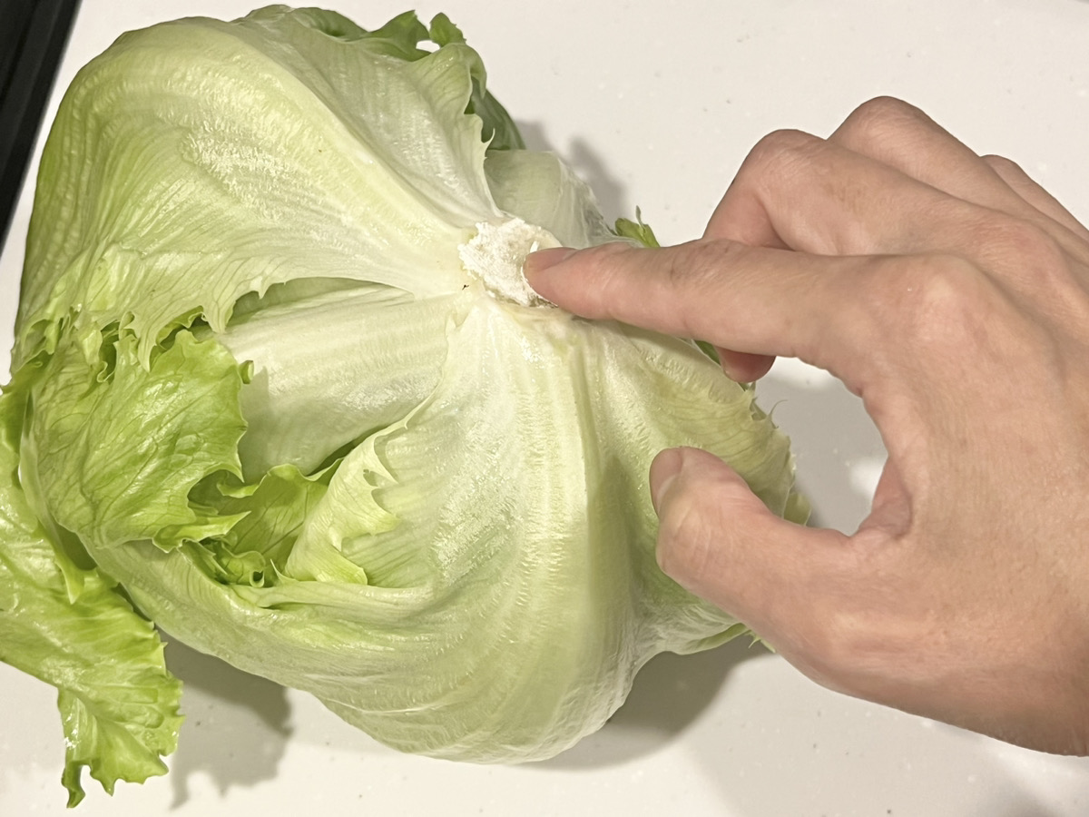 芯の切り口全体に小麦粉を塗る