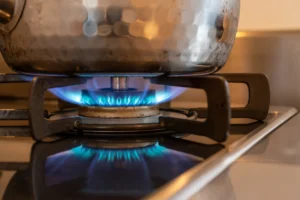 電子レンジのワット数とは？出力ごとの使い分けと用途をくわしく解説