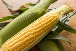 電子レンジでとうもろこしを簡単調理｜ラップで5分、甘く仕上げる方法と冷凍保存術