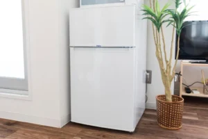 失敗しない冷凍庫の選び方！初めて購入する方へ詳しく解説